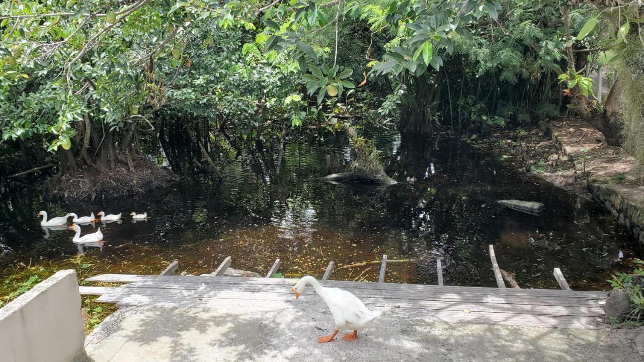 Casa Da Lagoa Porto Seguro Bagian luar foto